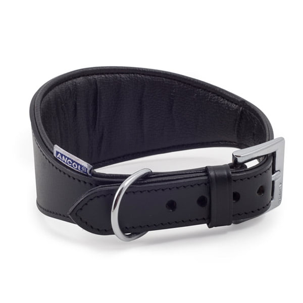 Hound Padded Collar - Black
