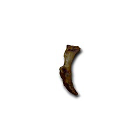 Anco Naturals Ostrich Foot
