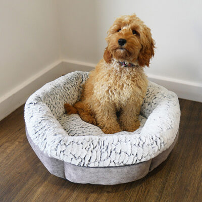 Grey Luxury Plush Bed