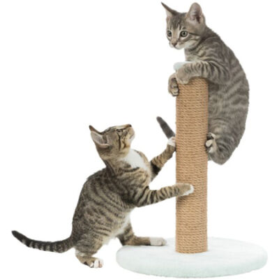 Junior Scratching Post