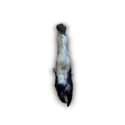 Hairy Goat Feet