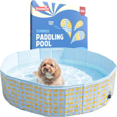 Checkered Paddling/Ball Pool