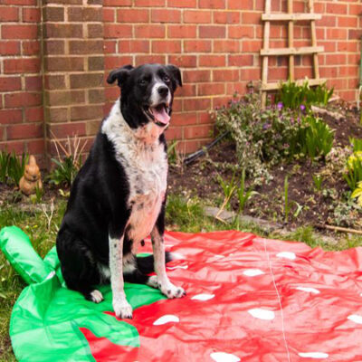 Strawberry Splash Mat