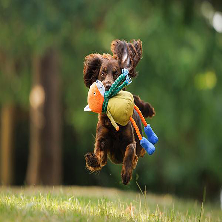 Joules Fox Dog Toy - Image 2