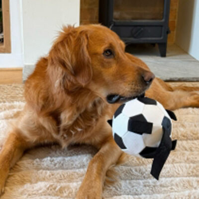 Autumn Dog Toys