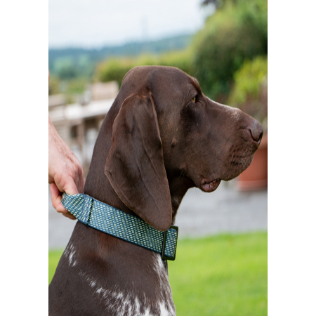 Extreme+ Collar With Grab Handle - Image 2