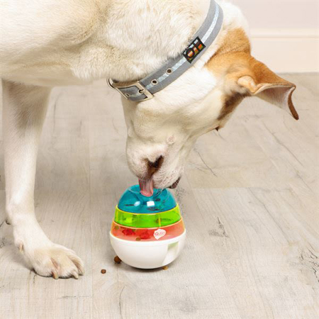 Iquties Active Training Wobbler For Small Dogs & Cats - Image 2
