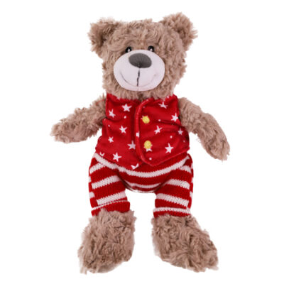 Buddy Bear