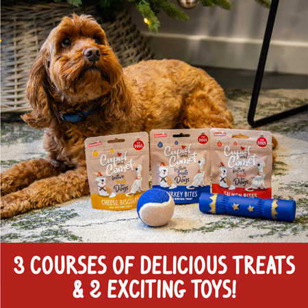 Cupid & Comet Christmas Dinner Dog Stocking - Image 2