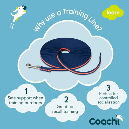 Coachi Training Line - Image 2
