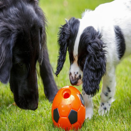 SERIOUSLY STRONG TREAT FOOTBALL DOG TOY - Image 3