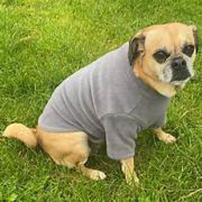 2 Leg Fleece Dog Suit
