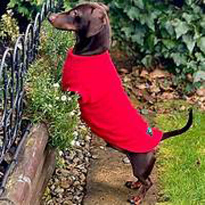 Dachshund Polar Fleece