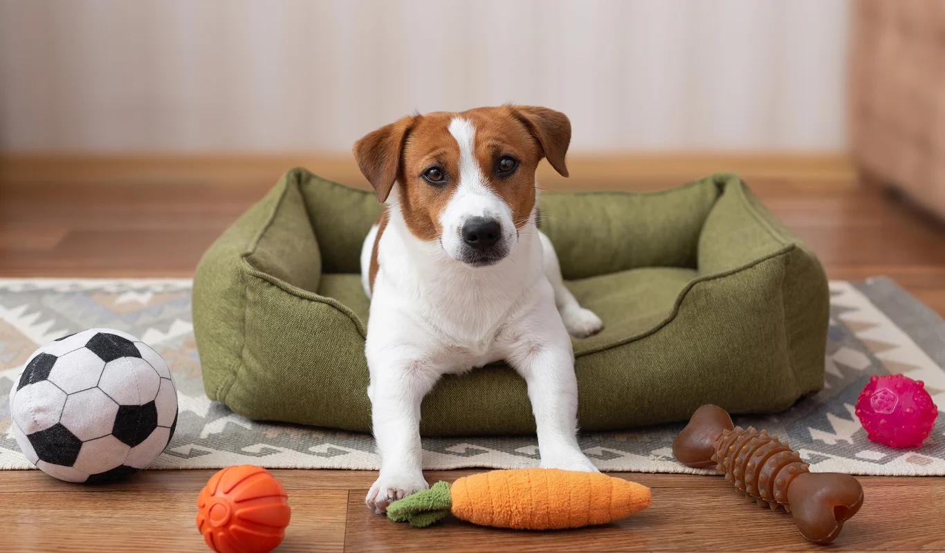 indestructible dog toys