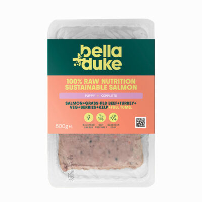 Bella & Duke Puppy Salmon