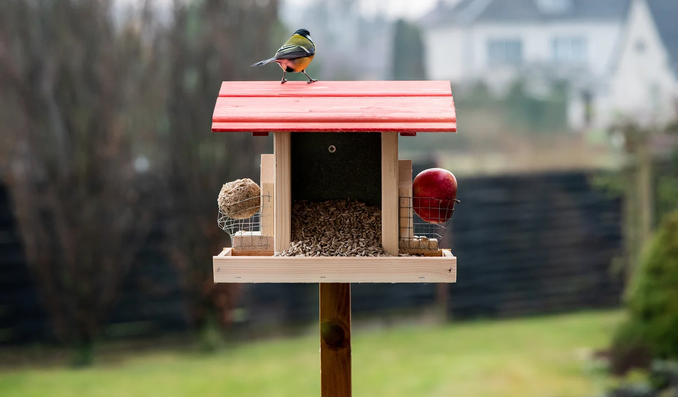 bird feeder in garden with bird perched on top