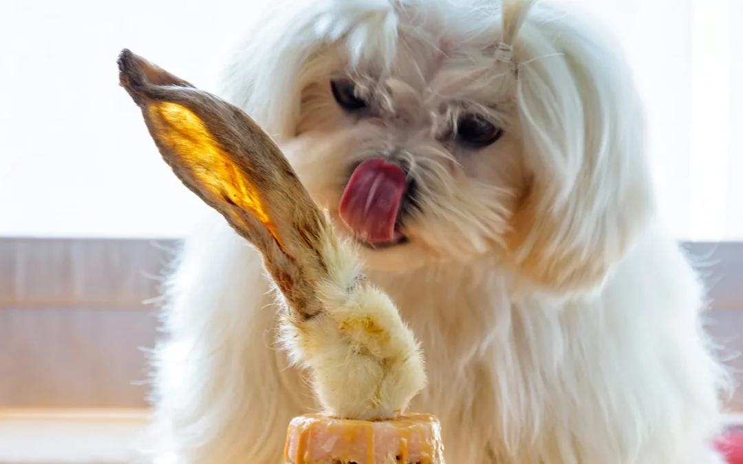 Are Rabbit Ears Good for Dogs? The Complete UK Owner’s Guide