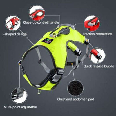 Escape Proof Harness (3 Strap)
