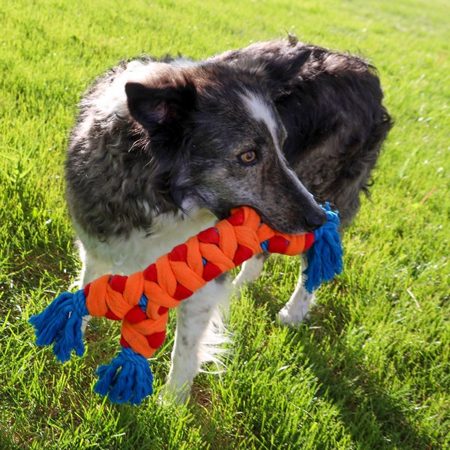 Kong Rope Rally Bone - Image 3
