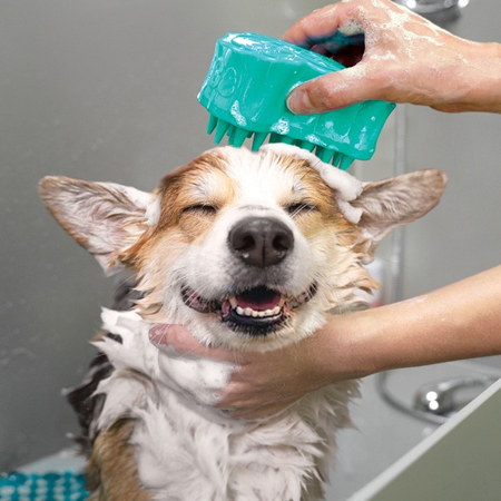 KONG Zoom Groom Bubbles for Dogs - Image 2