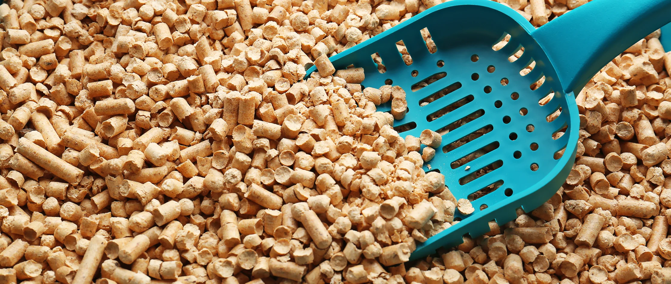 wood pellet cat litter in a tray with scoop