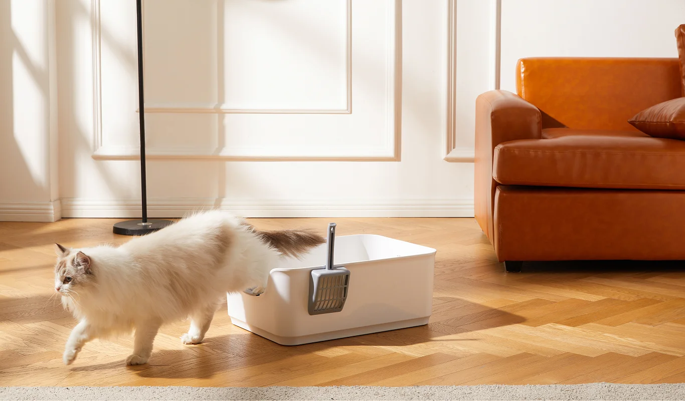 cat happily leaving litter tray after using the best cat litter for its size
