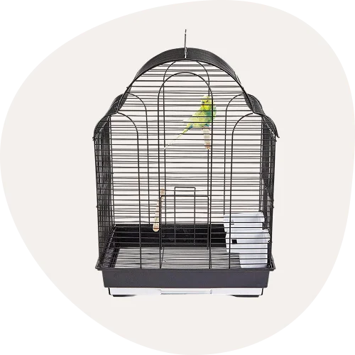 Bird Cages & Stands