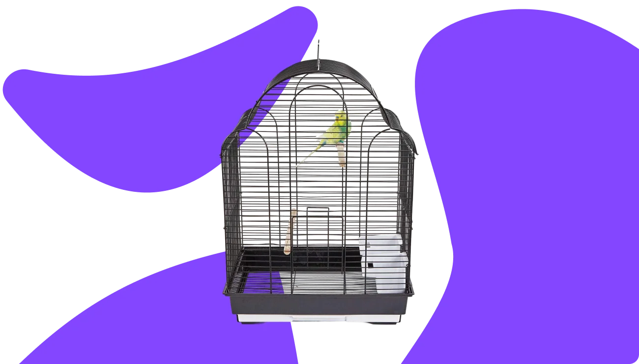 Bird Cages & Stands