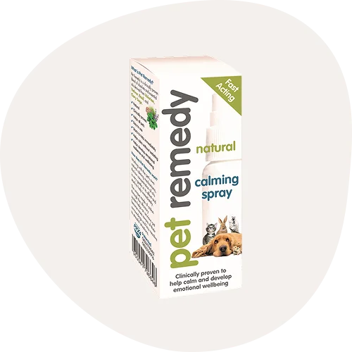 Calming Products for Cats