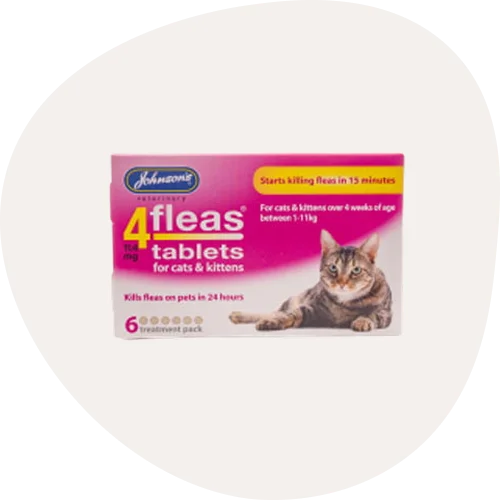 Cat Flea and Worm Treatment