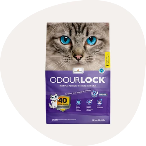 Cat Litter and Trays