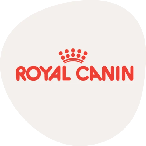 Royal Canin Cat Food