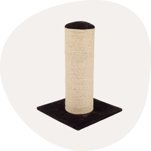 Cat Scratching Posts