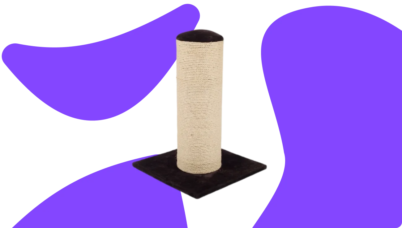 Scratching Posts for Cats