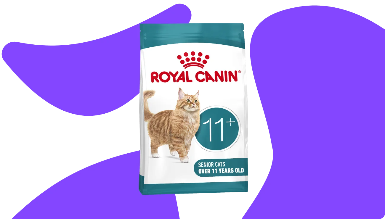 Senior Cat Food