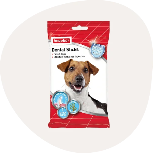 Dental Care