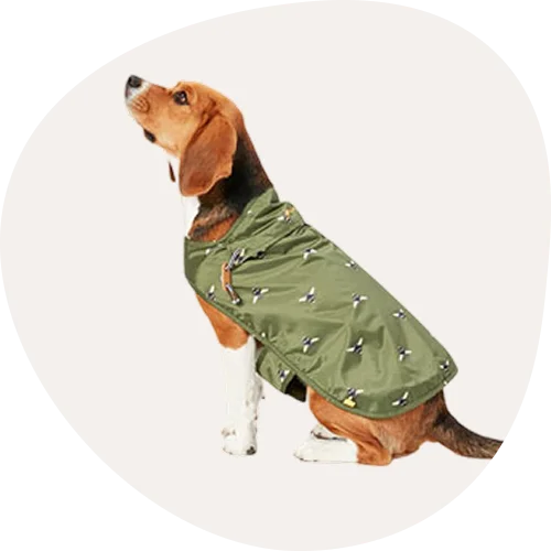 Dog Cooling Products