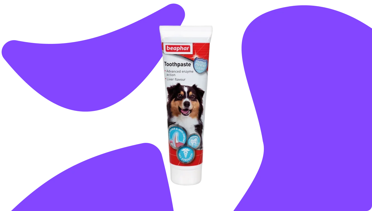 Dog Dental Products