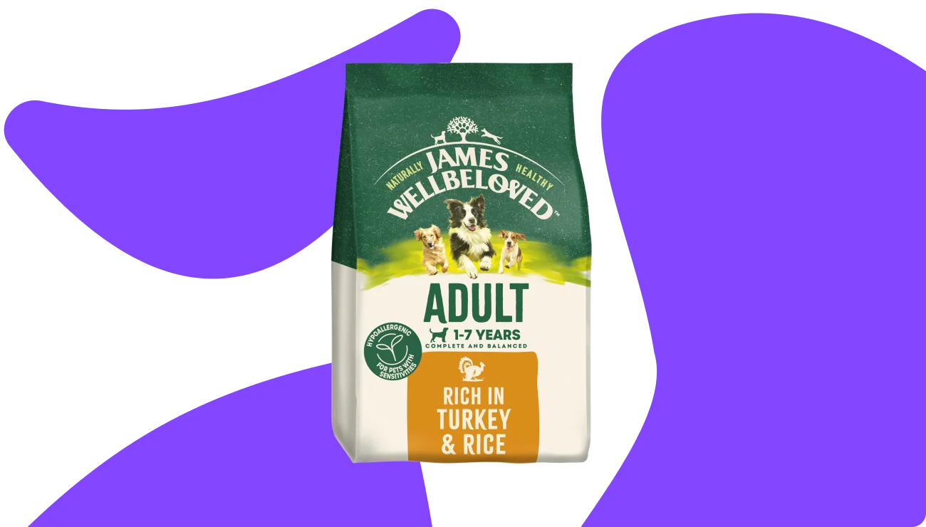 Dry Dog Food