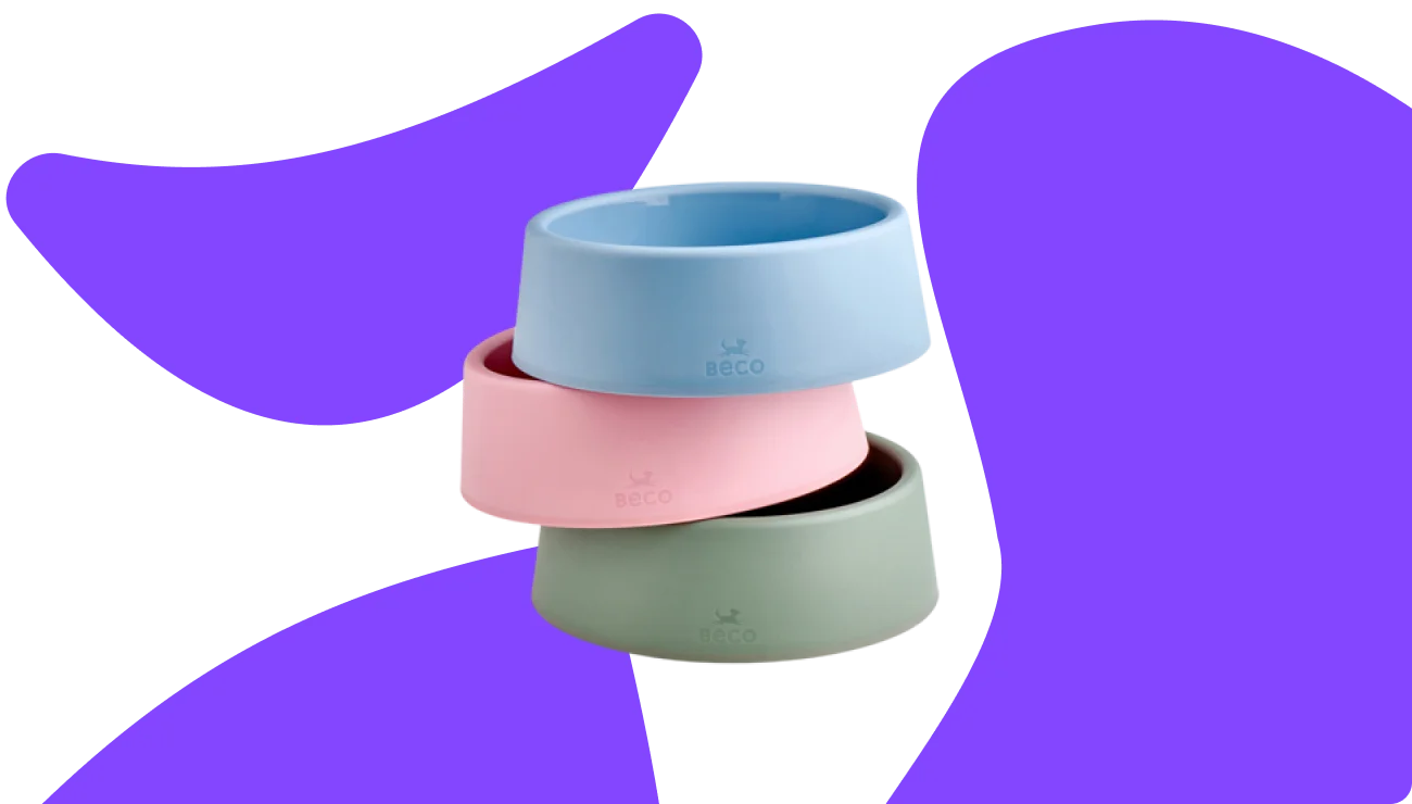 Dog Food and Water Bowls