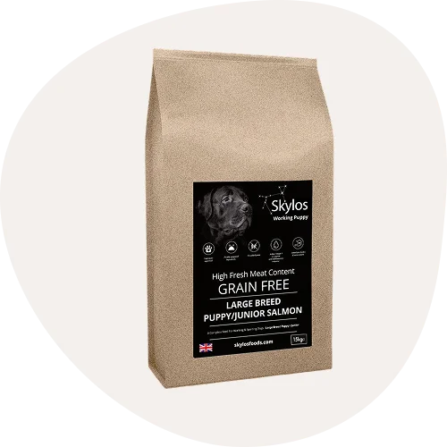 Grain Free Dog Food