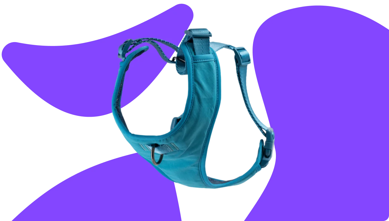 Dog Harnesses