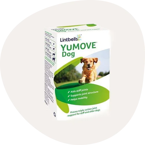 Dog Joint Supplements