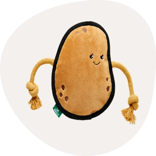 Plush Dog Toys