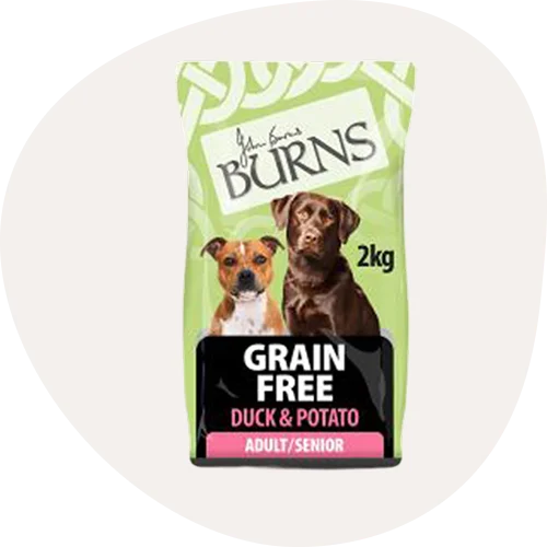 Senior Dog Food