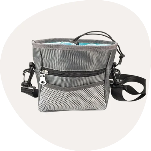 Dog Travel Accessories
