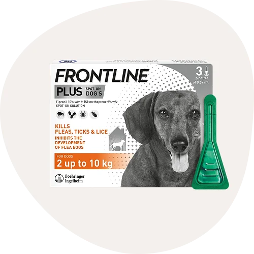 Flea & Worming