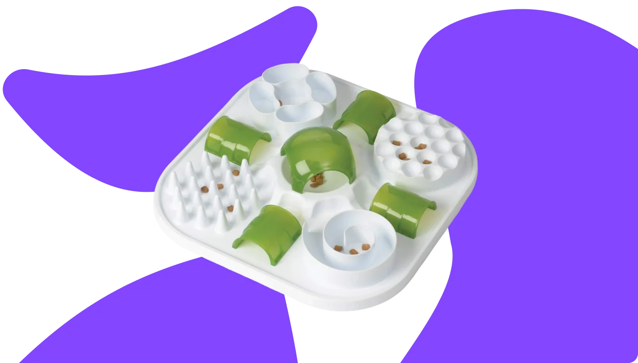 Interactive Cat Toys