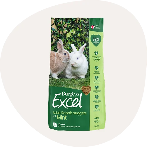 Small Animal Food