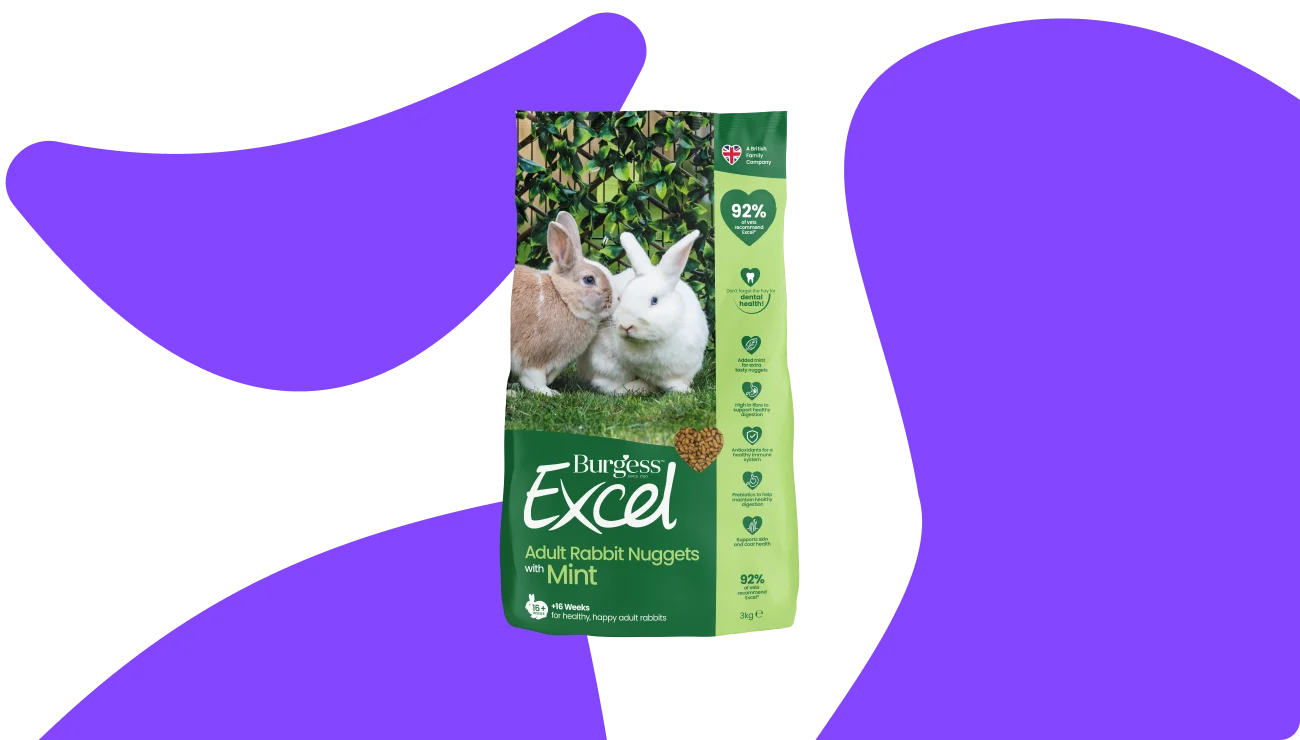 Small Animal Food